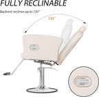 LOUVIXA Height Adjustable Salon Chair for Hair Sylist, Reclining Salon Hair Chairs, Hydraulic Barber Chair, 360 Degree Swivel Shampoo Chairset for Barbershop (Grey)